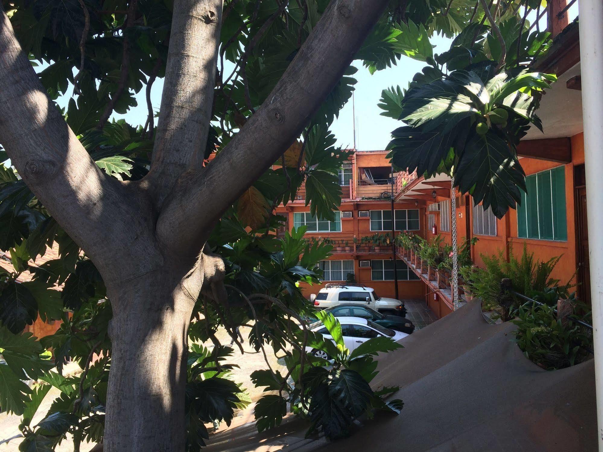 Fenix Hotel 3*
