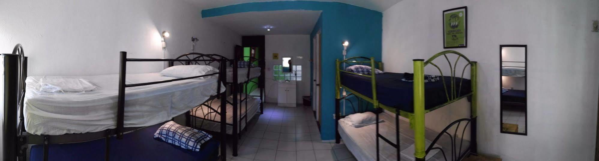 Guest house Oyster Veracruz