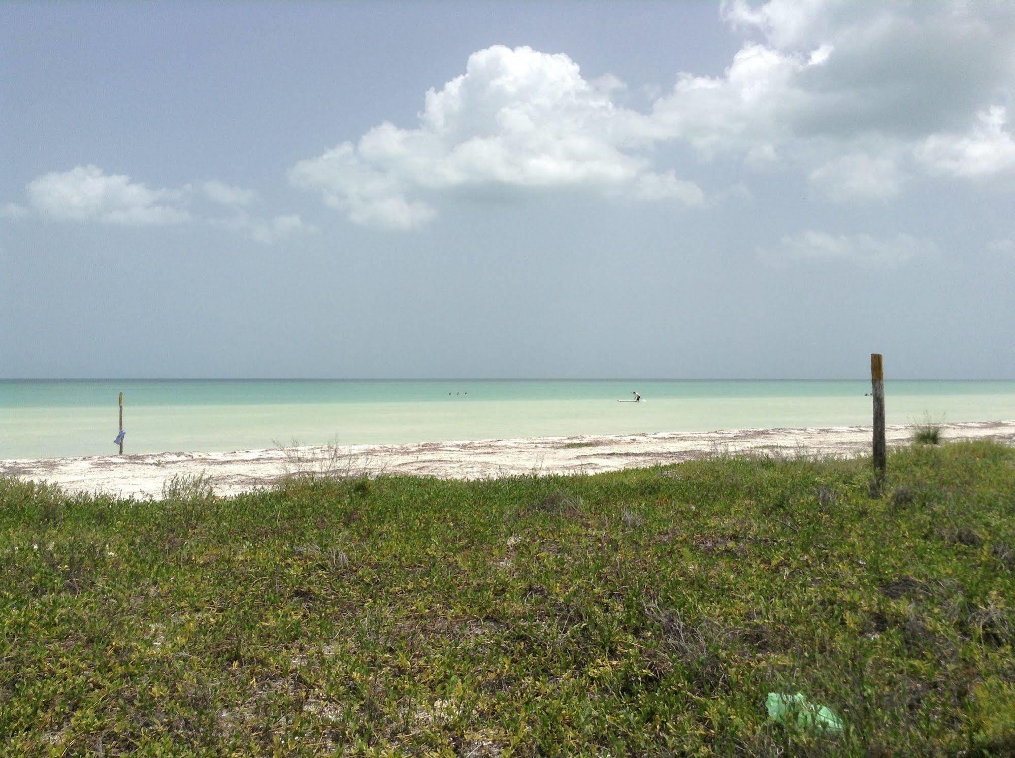 Delfines Isla Holbox