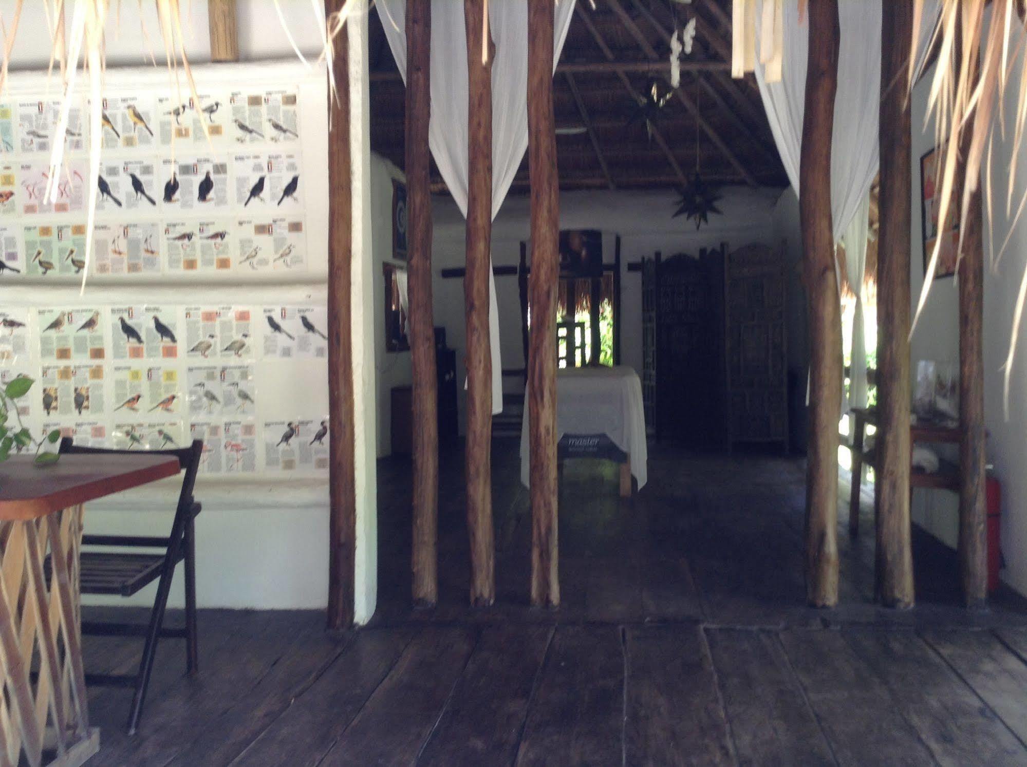 Delfines Resort Isla Holbox