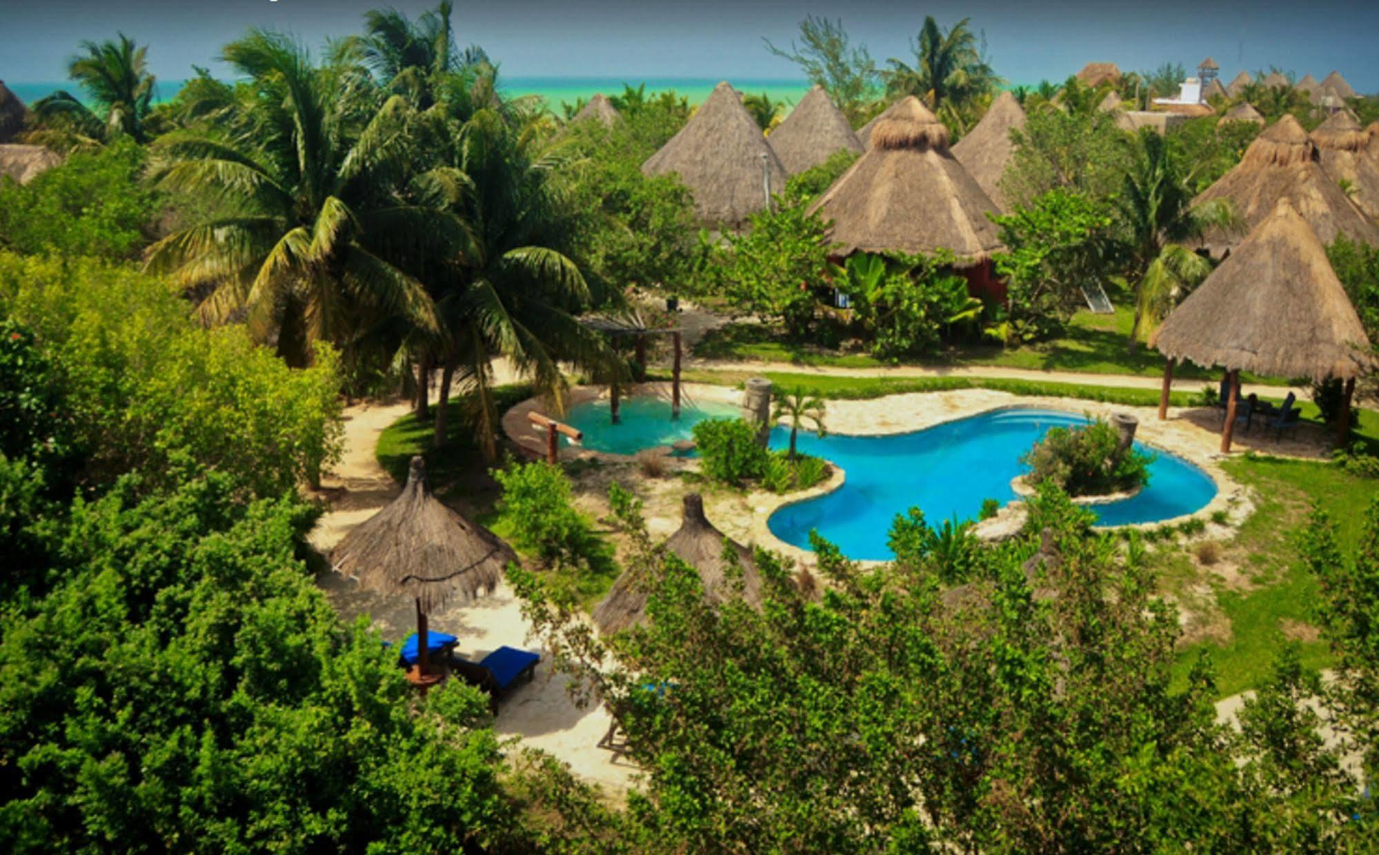 Delfines Isla Holbox