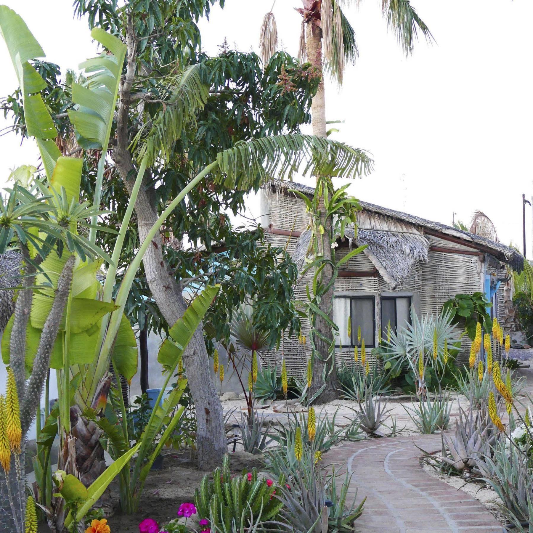 La Bohemia Hotel Todos Santos