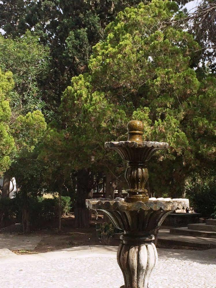 La Fuente, Saltillo