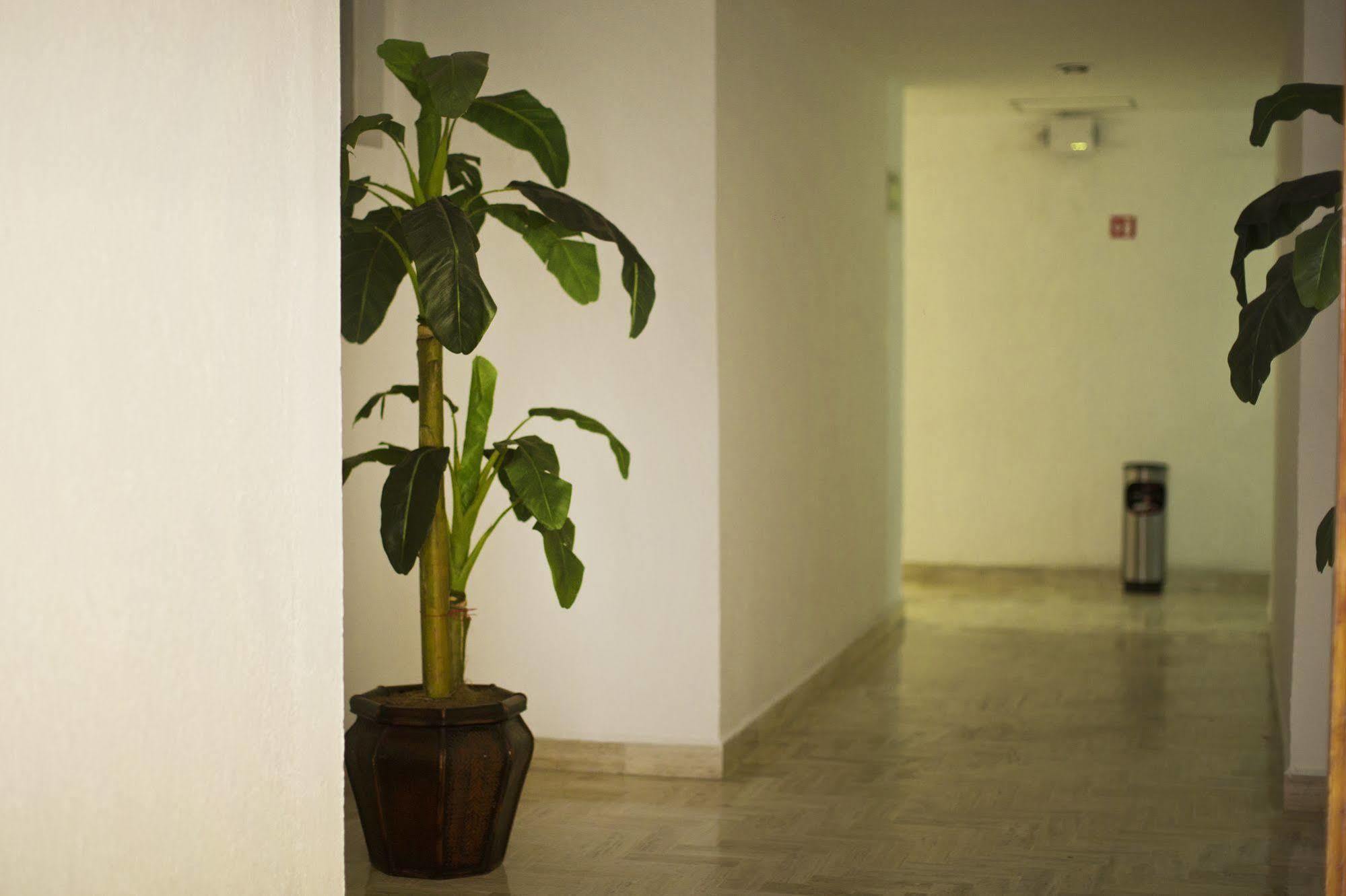 Don Miguel Hotel