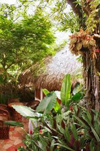 Biuzaa Zipolite