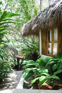 Hotel Biuzaa Zipolite