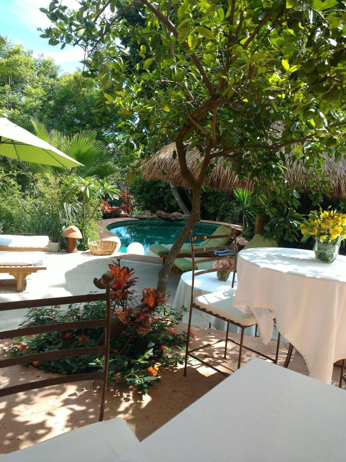 Casa D'lobo Boutique Bed & Breakfast Malinalco