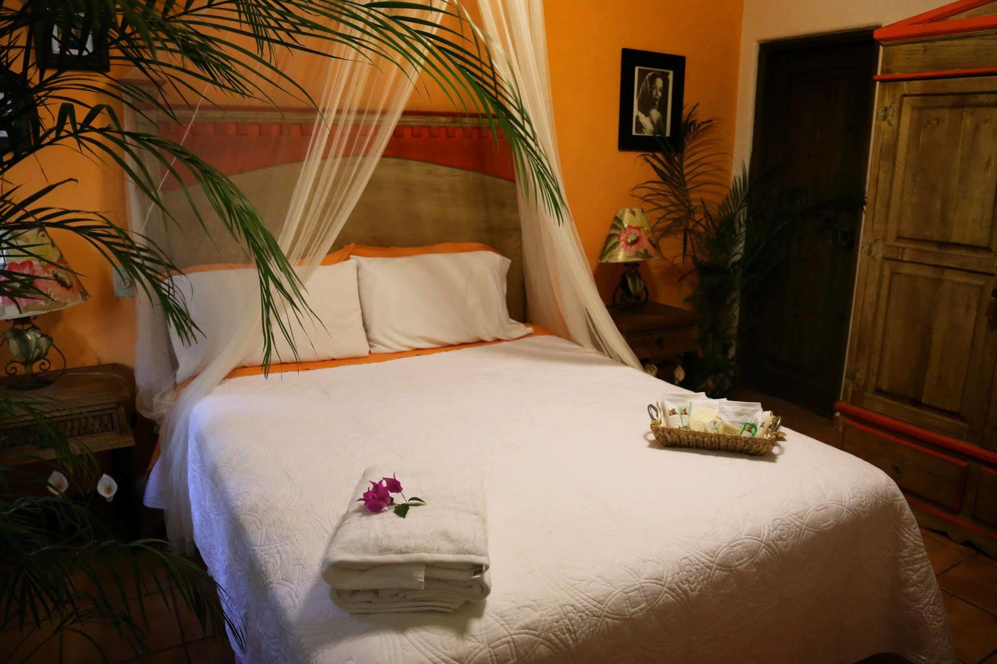 Bed & Breakfast The Mexican Cabo San Lucas