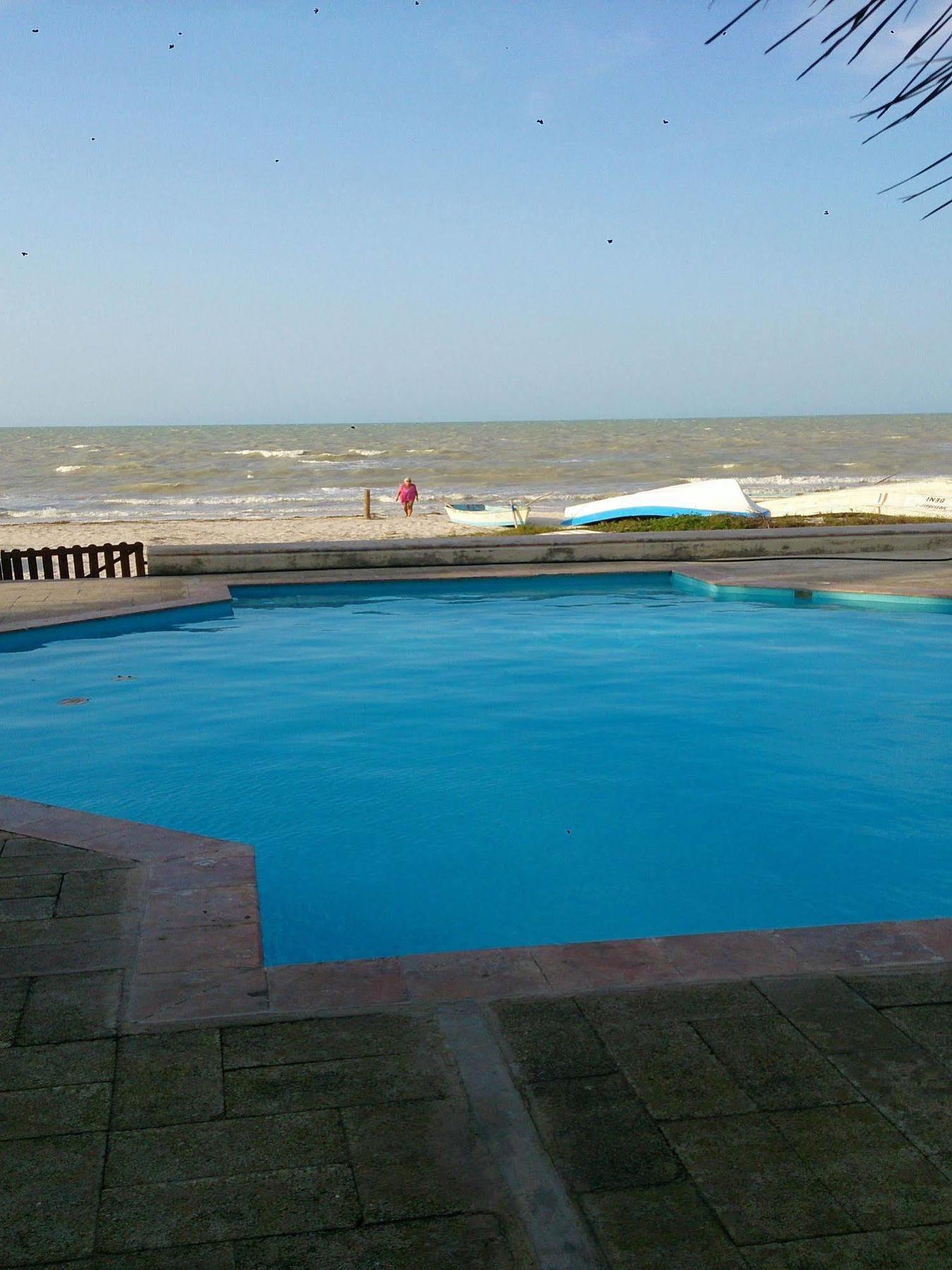 Orca Apartment Progreso (Yucatan)
