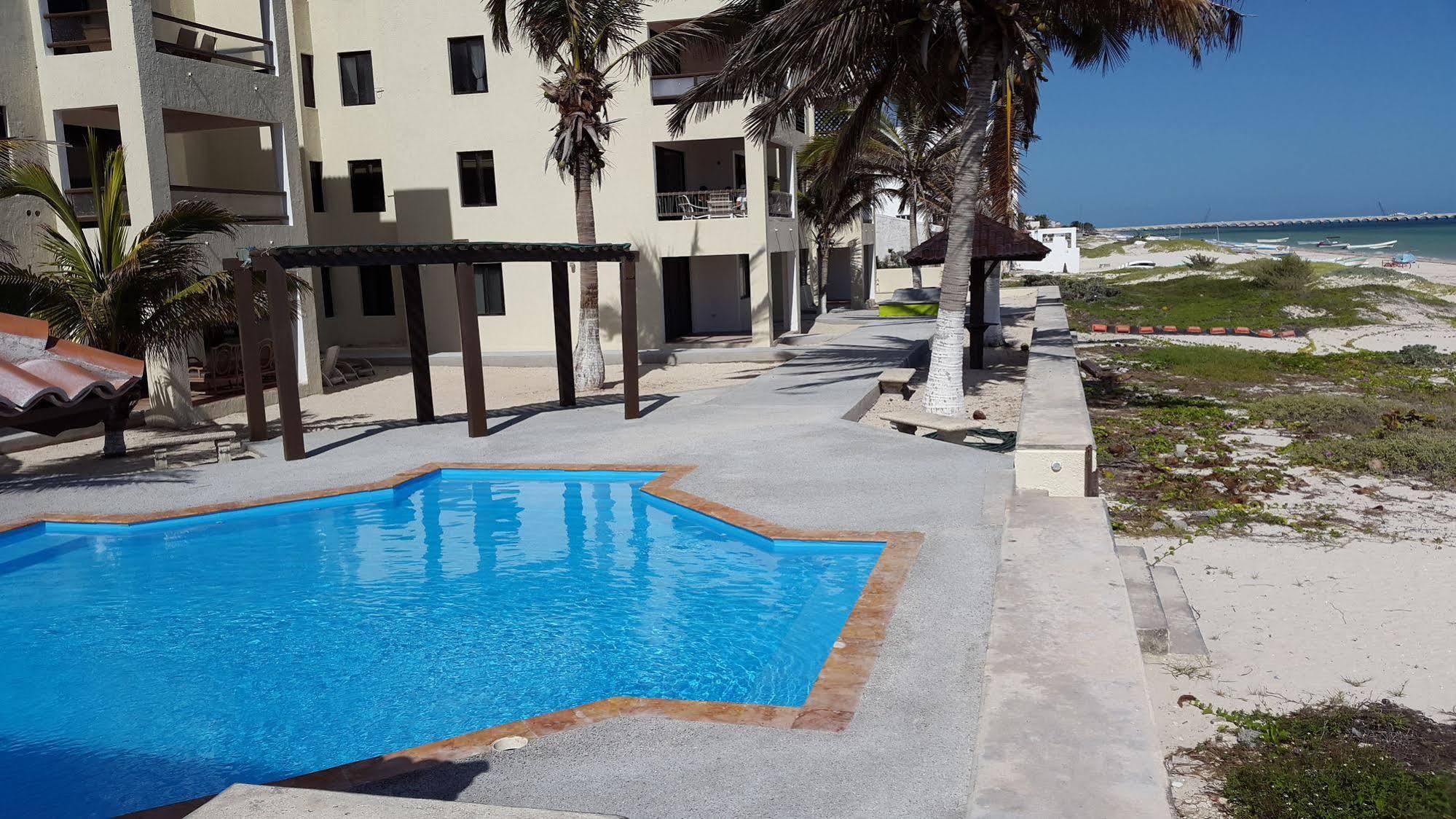 Apartment Orca