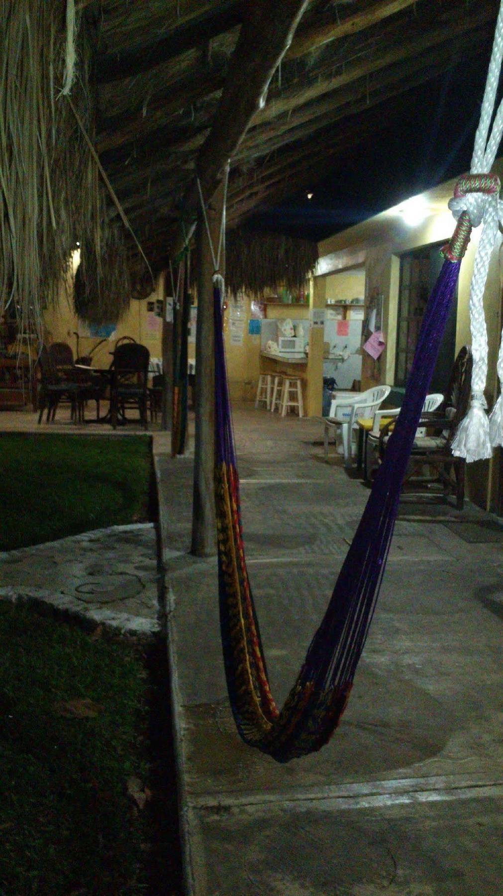Hostel Amigos