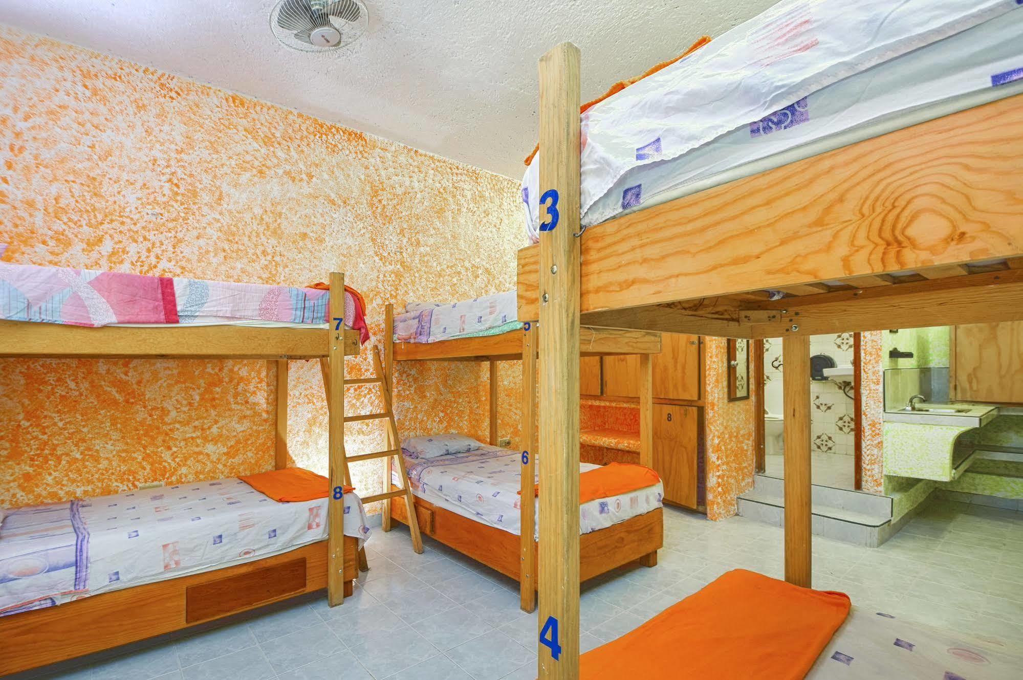 Amigos Hostel *
