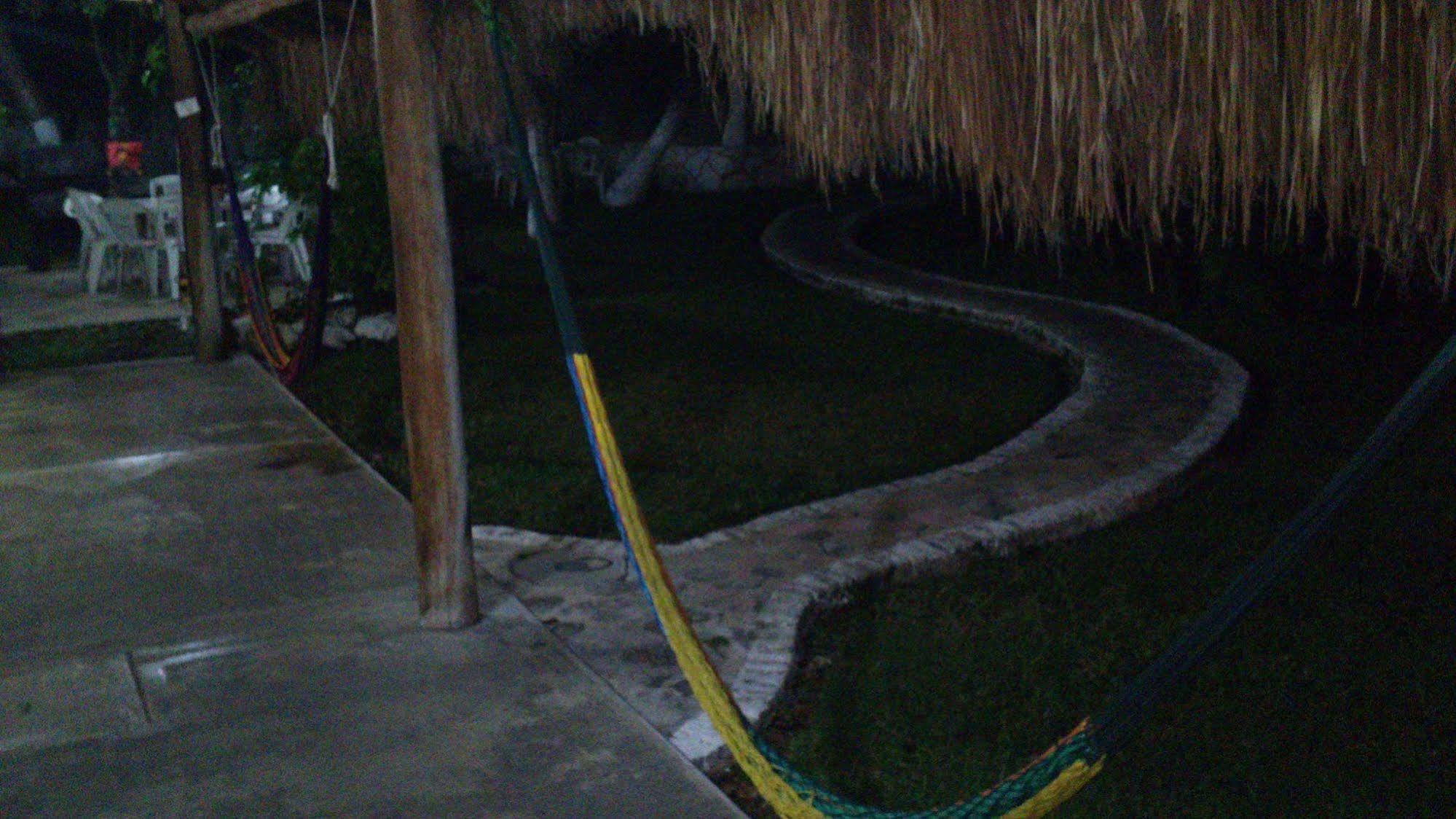 Hostel Amigos Cozumel