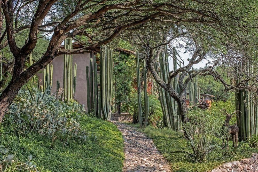 Sagrada Boutique Hotel Bed & Breakfast San Miguel de Allende