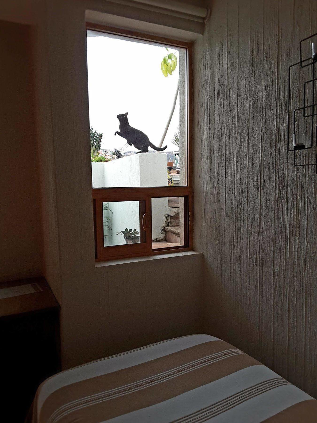 Hotelito 
