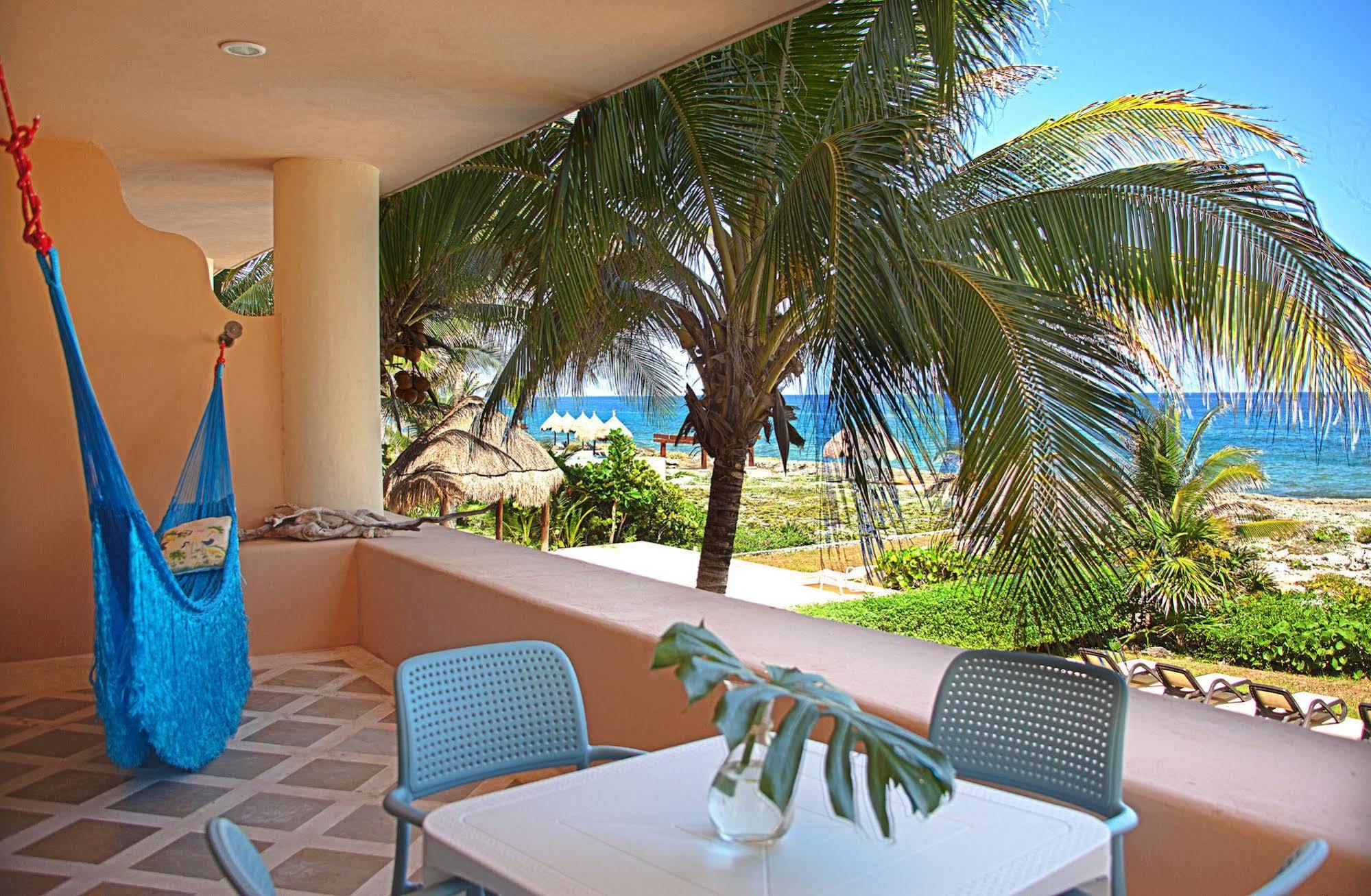 Homing Bird Puerto Aventuras