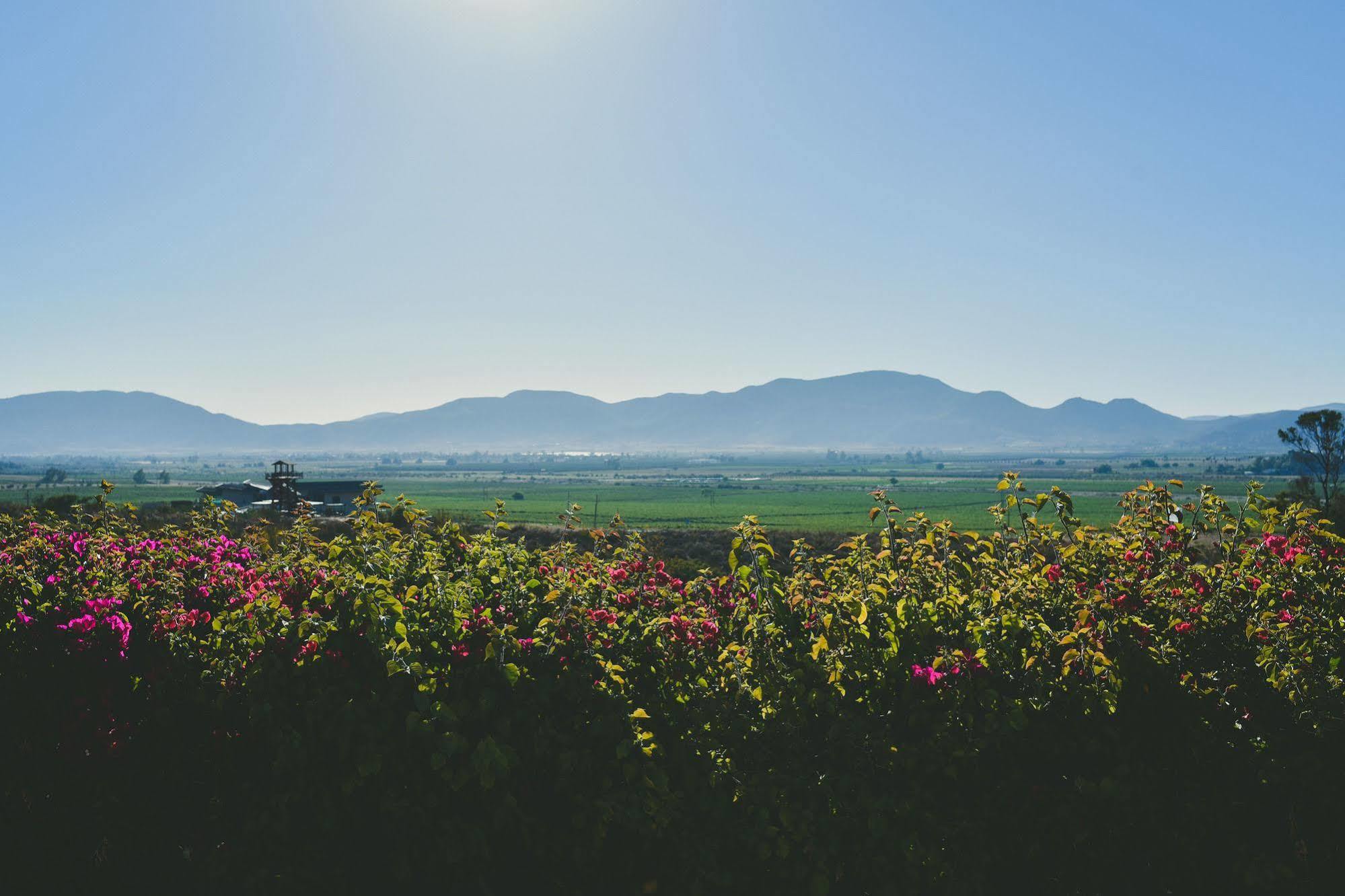 Hacienda 3*