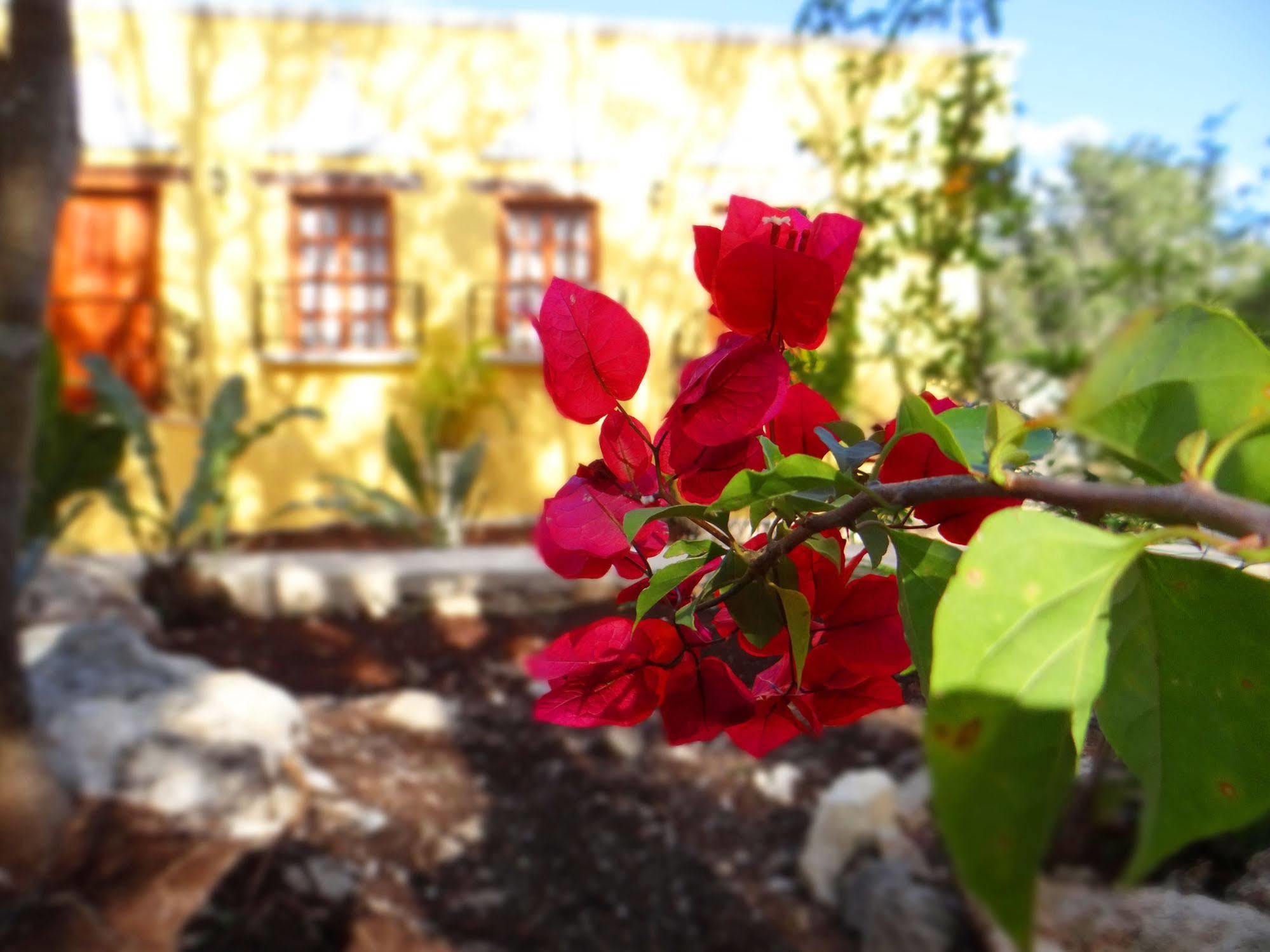 Bed & Breakfast Hacienda