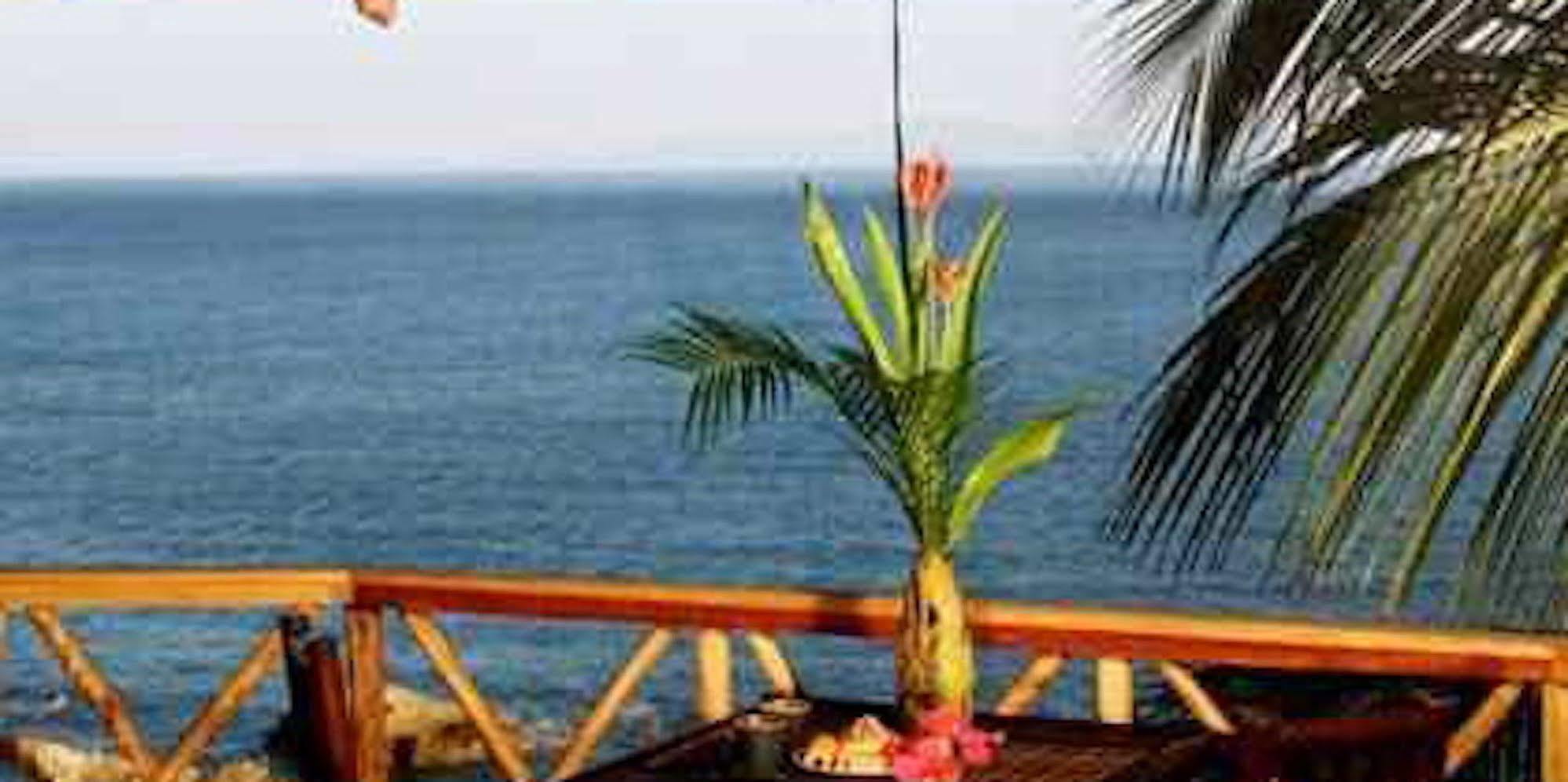 Casa Pericos Hotel