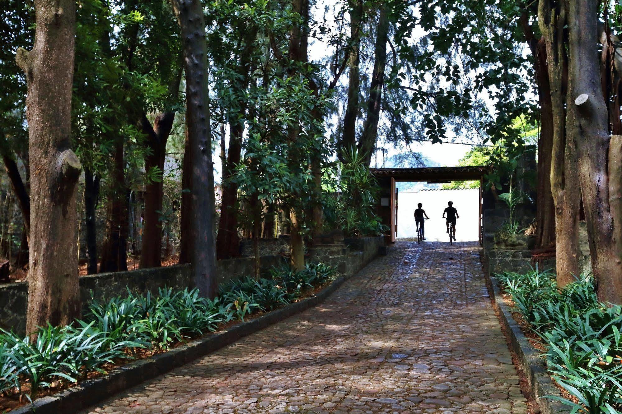 Amomoxtli Hotel 5*