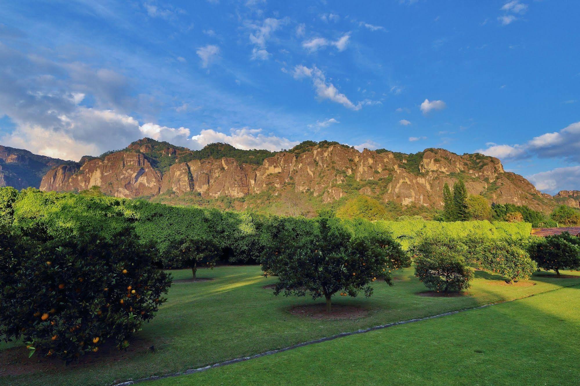 Amomoxtli Hotel Tepoztlan