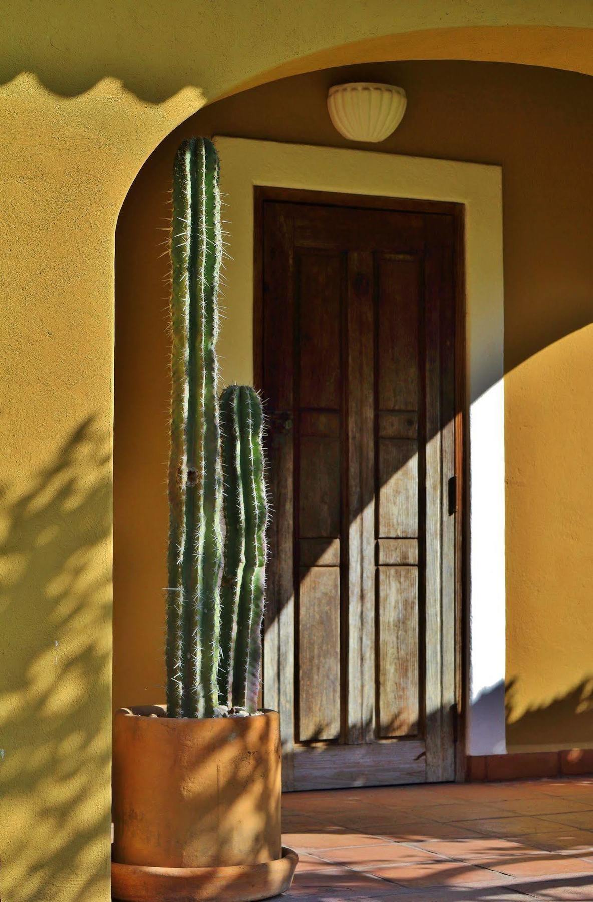 Hotel Amomoxtli Tepoztlan