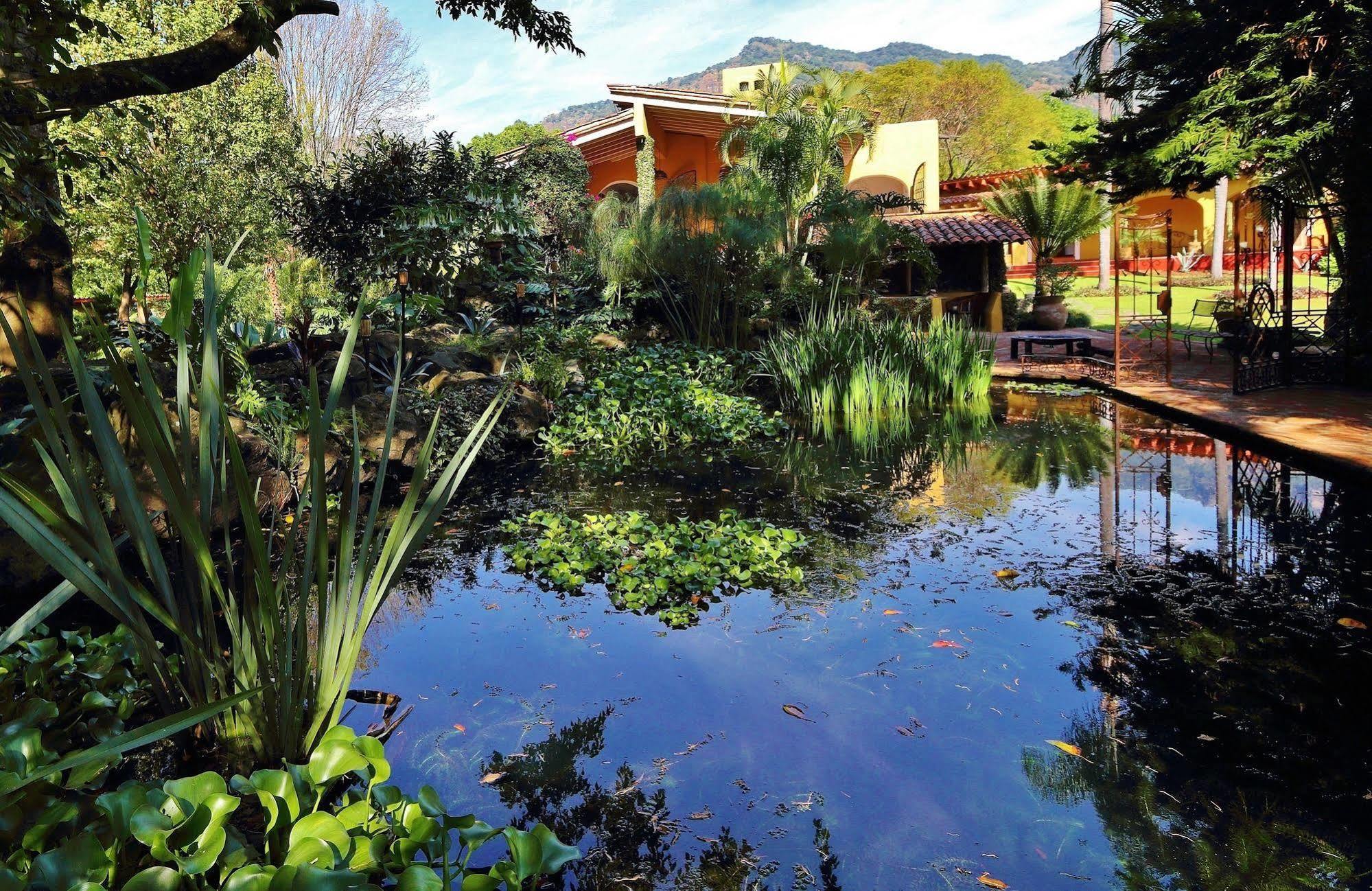 Amomoxtli Tepoztlan