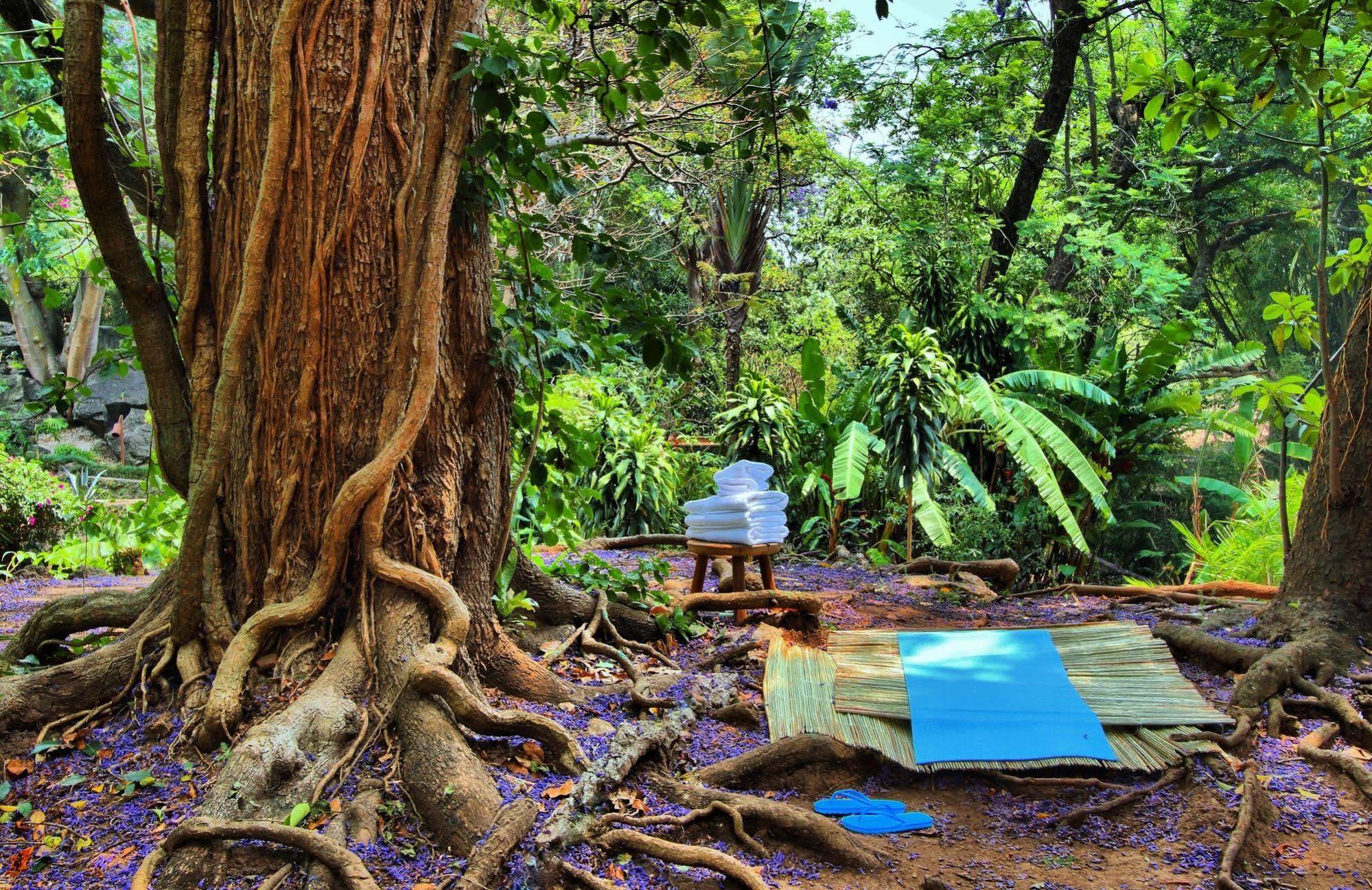 Hotel Amomoxtli