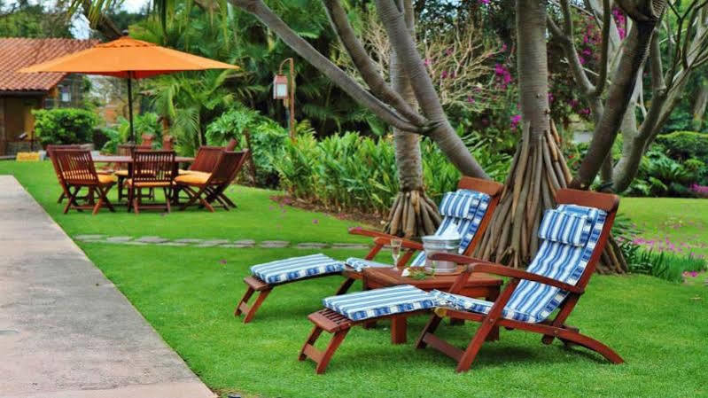 Amomoxtli 5* Tepoztlan