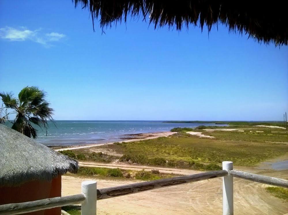 Mar Y Arena