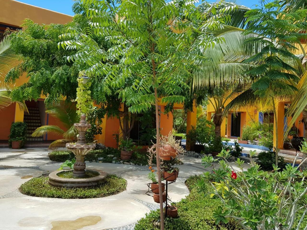 Los Pescadores Hotel Los Barriles