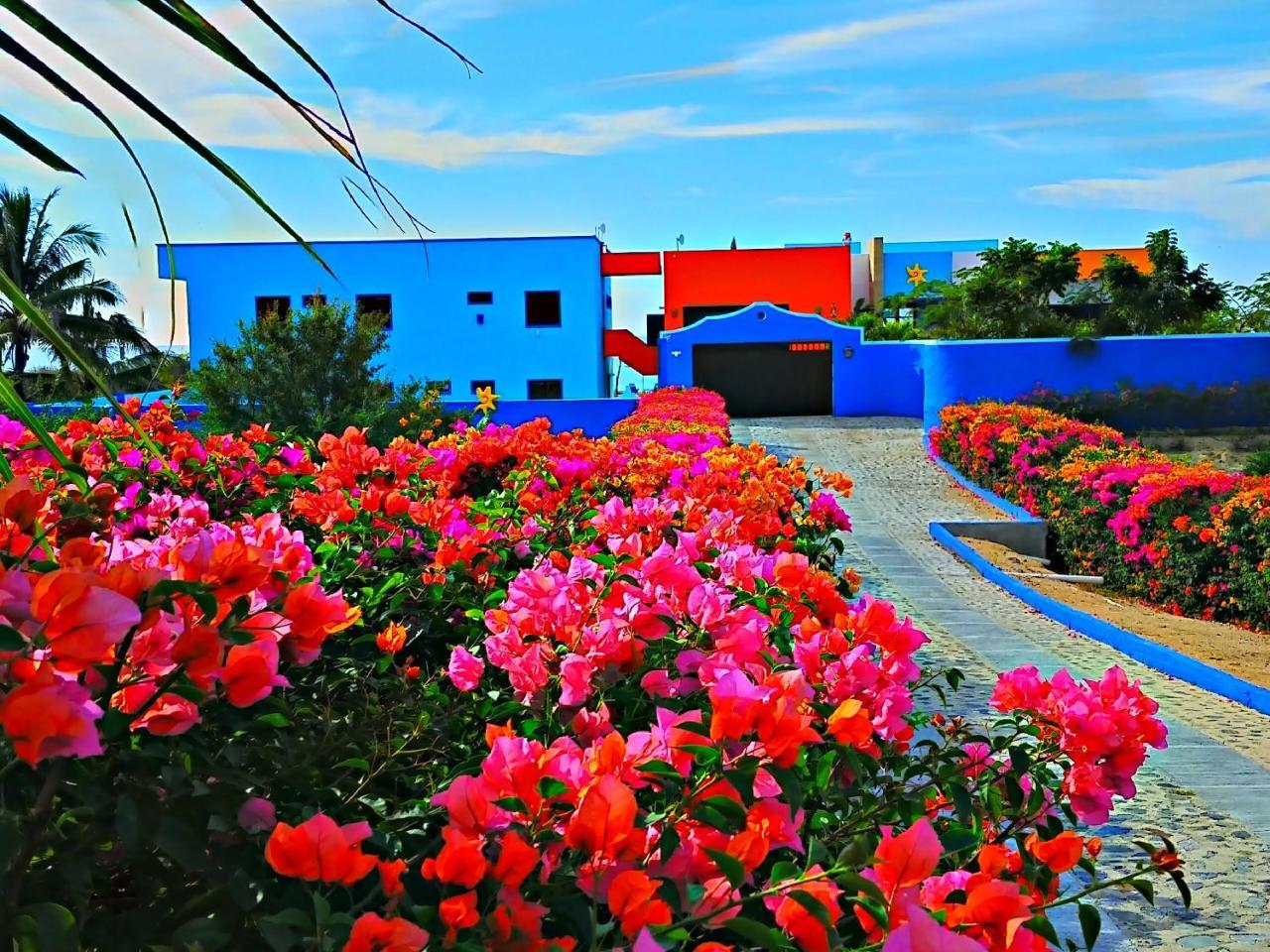 Hotel Star Of The Sea (adults Only) 5*