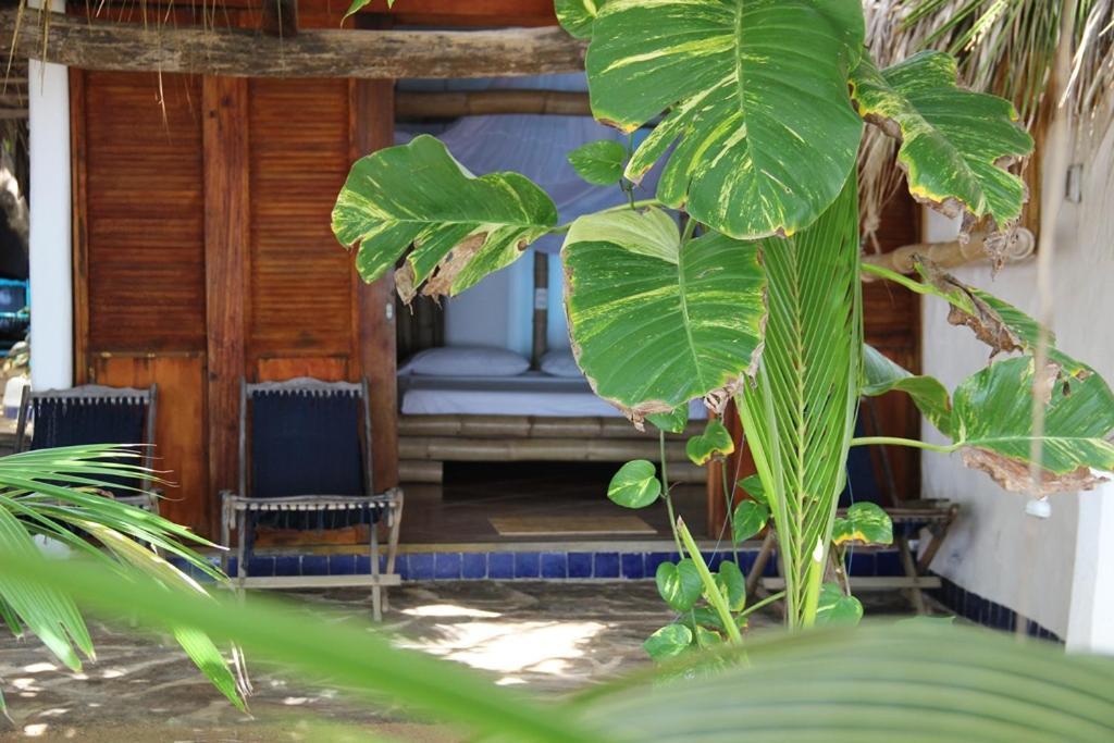 Lodge Bambu Ecocabanas