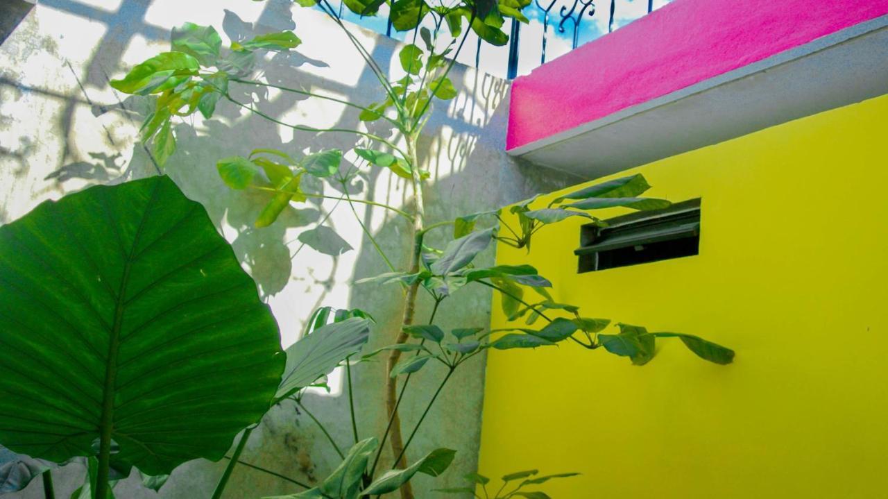 Hotel Agrado Oaxaca