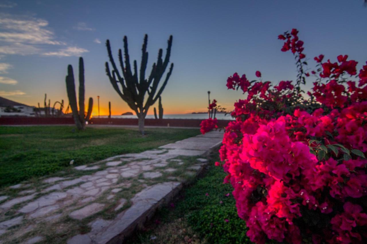 Playa De Cortes Hotel
