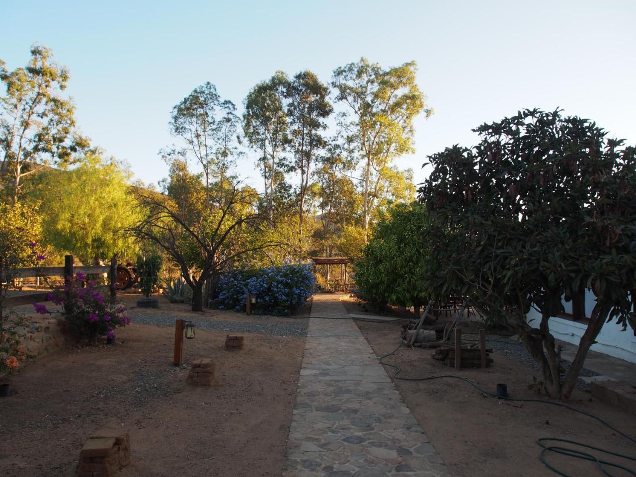 Bed & Breakfast Casa Mayoral Pet Friendly 3*