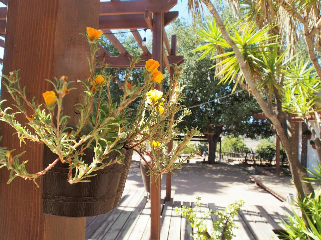 Casa Mayoral Pet Friendly 3* Valle de Guadalupe
