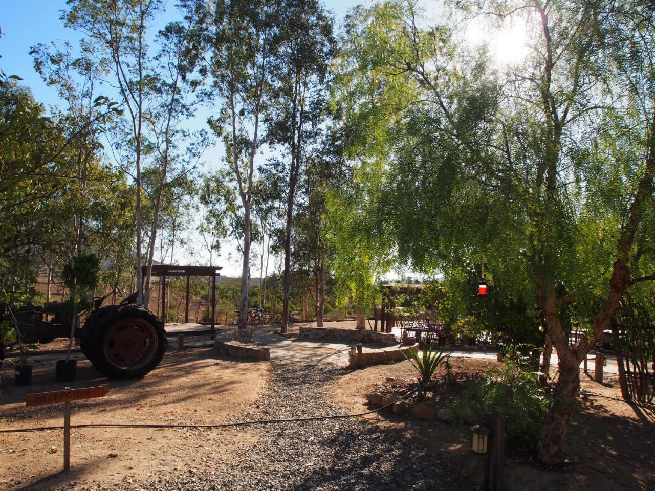 Casa Mayoral Pet Friendly Bed & Breakfast Valle de Guadalupe