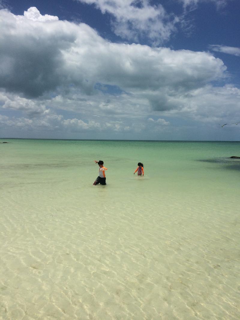 Rhincodon Typus 4* Isla Holbox