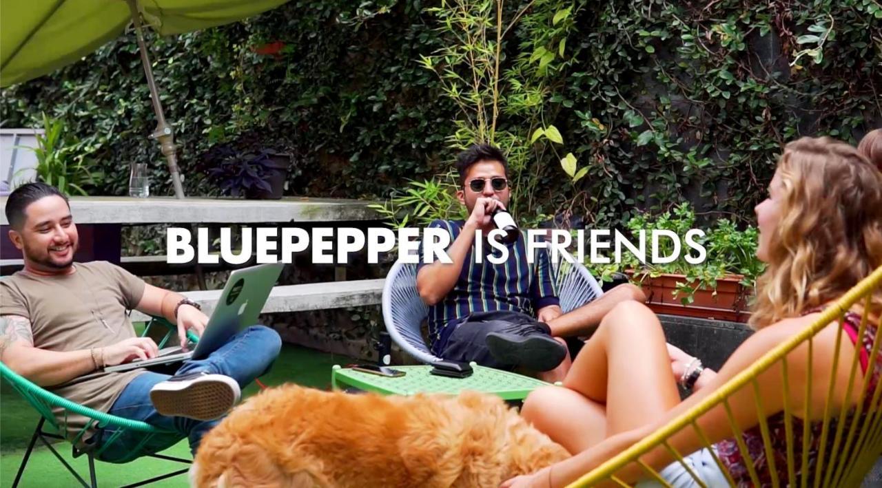 Hostel Blue Pepper Chapultepec *