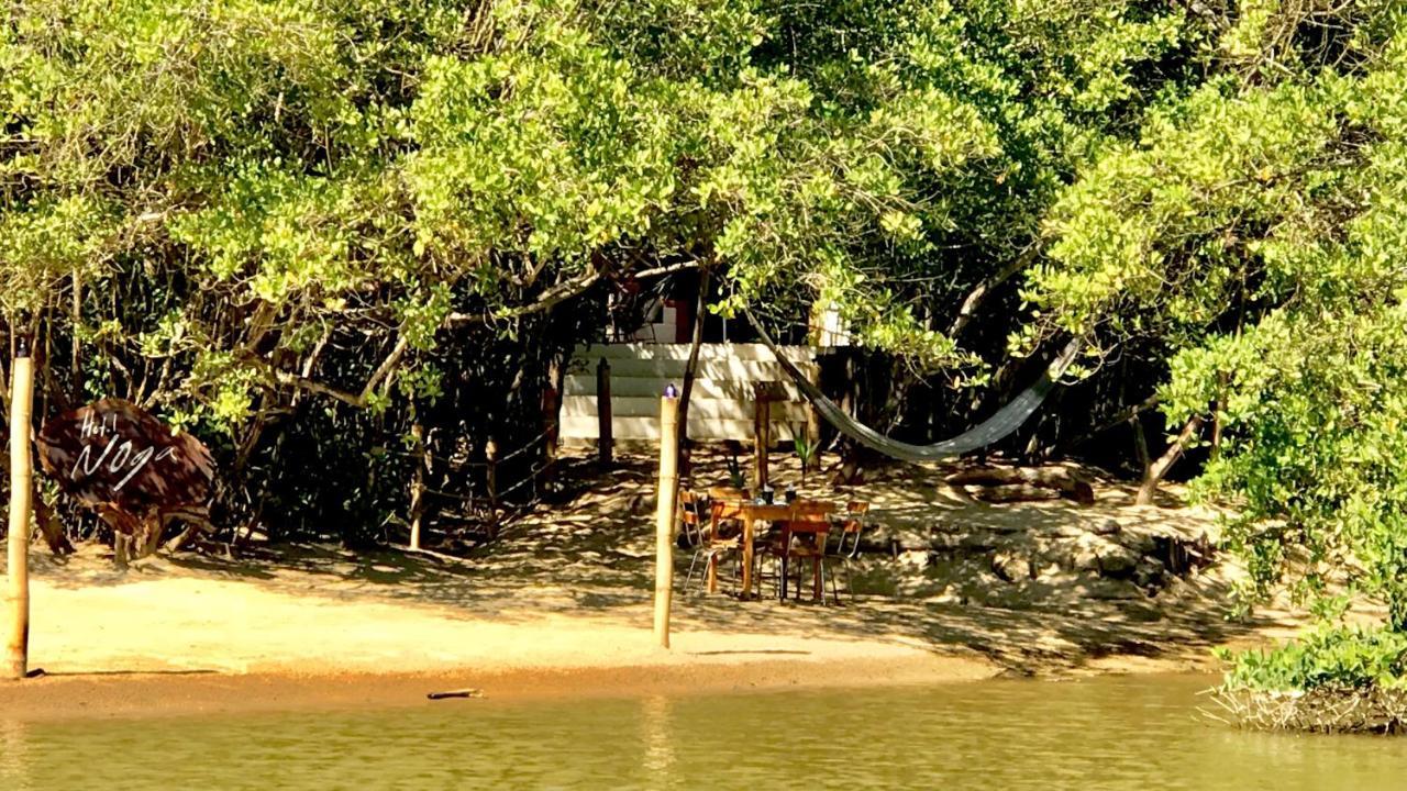 Noga 2* Zipolite