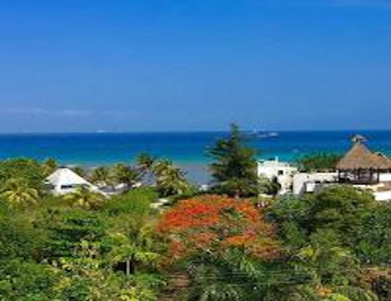 Acanto Playa Del Carmen, Trademark Collection By Wyndham Playa del Carmen