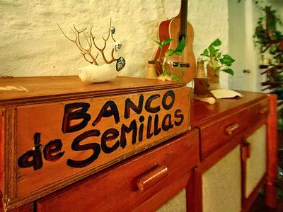 Blatha Tropical Isla Holbox