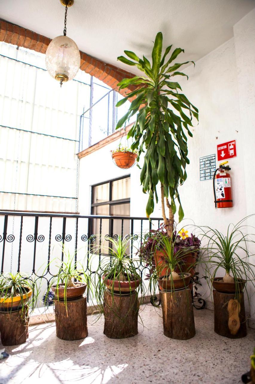Apartment Meson De San Andres *
