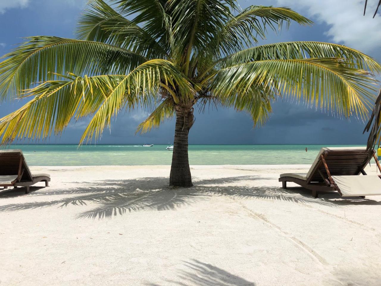 Hotel El Corazon Boutique - Adults Only With Club Pass Included Isla Holbox
