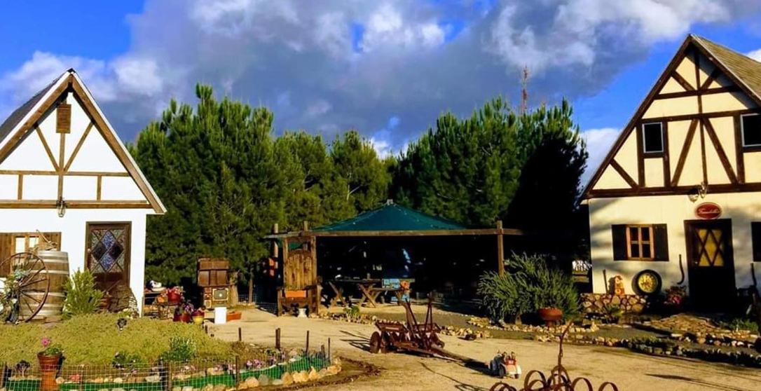 Fernabella's Valle de Guadalupe
