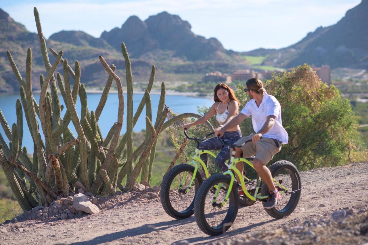 Del Palmar At The Islands Of Loreto Loreto (Baja California Sur)