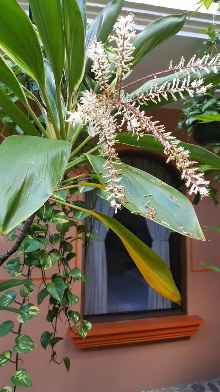 San Jeronimo 4* Coatepec (Veracruz)