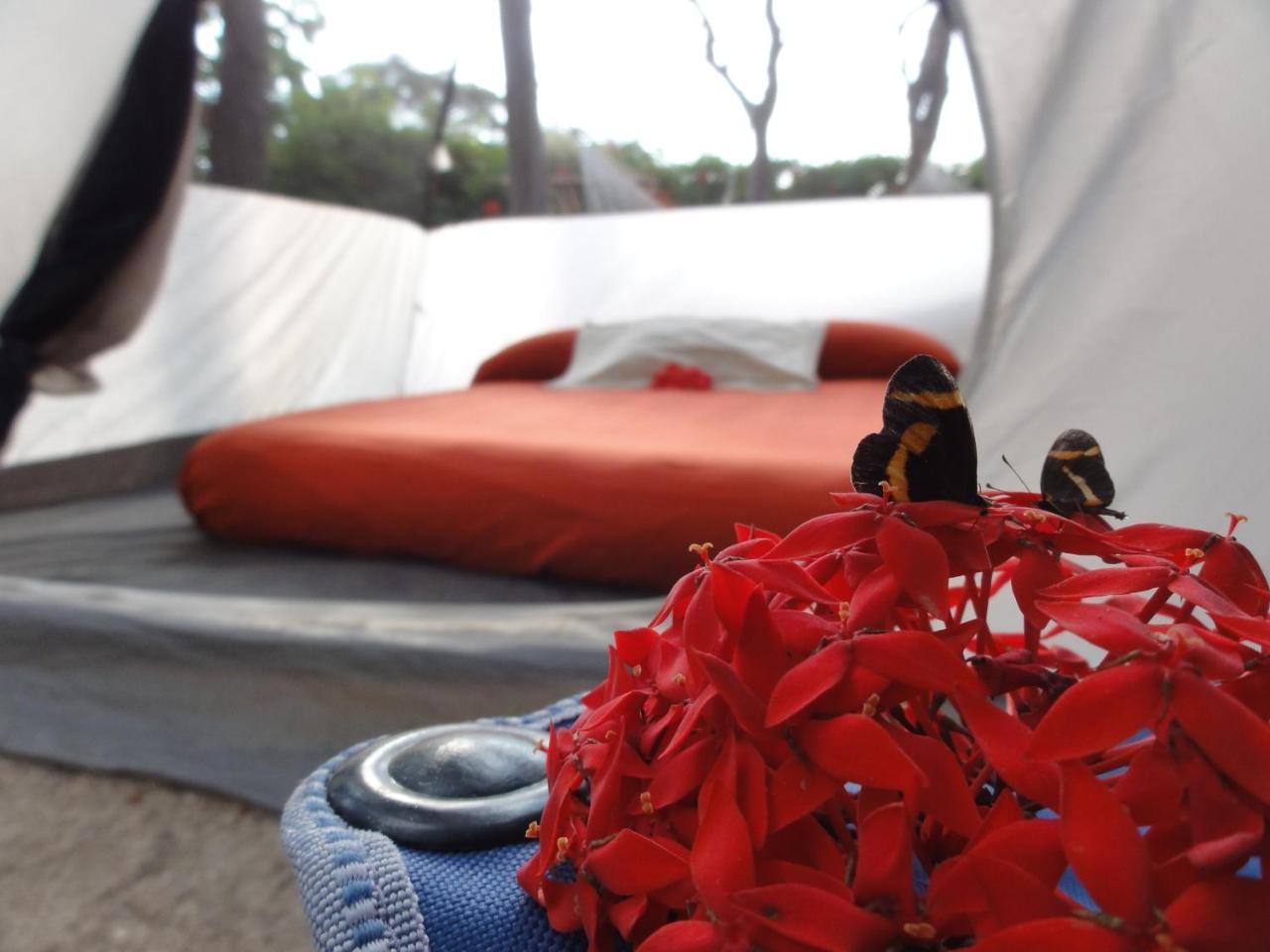 Hostel Point Troncones