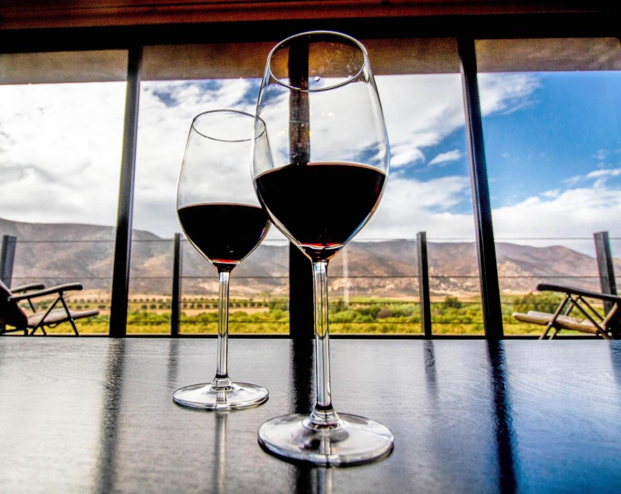 Oeno Wine Valle de Guadalupe